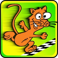 Animal Race